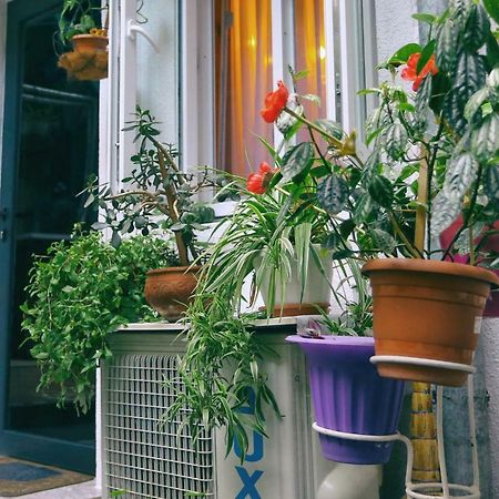 Apartment On Freedom Square Diuma Street Tbilisi Bagian luar foto